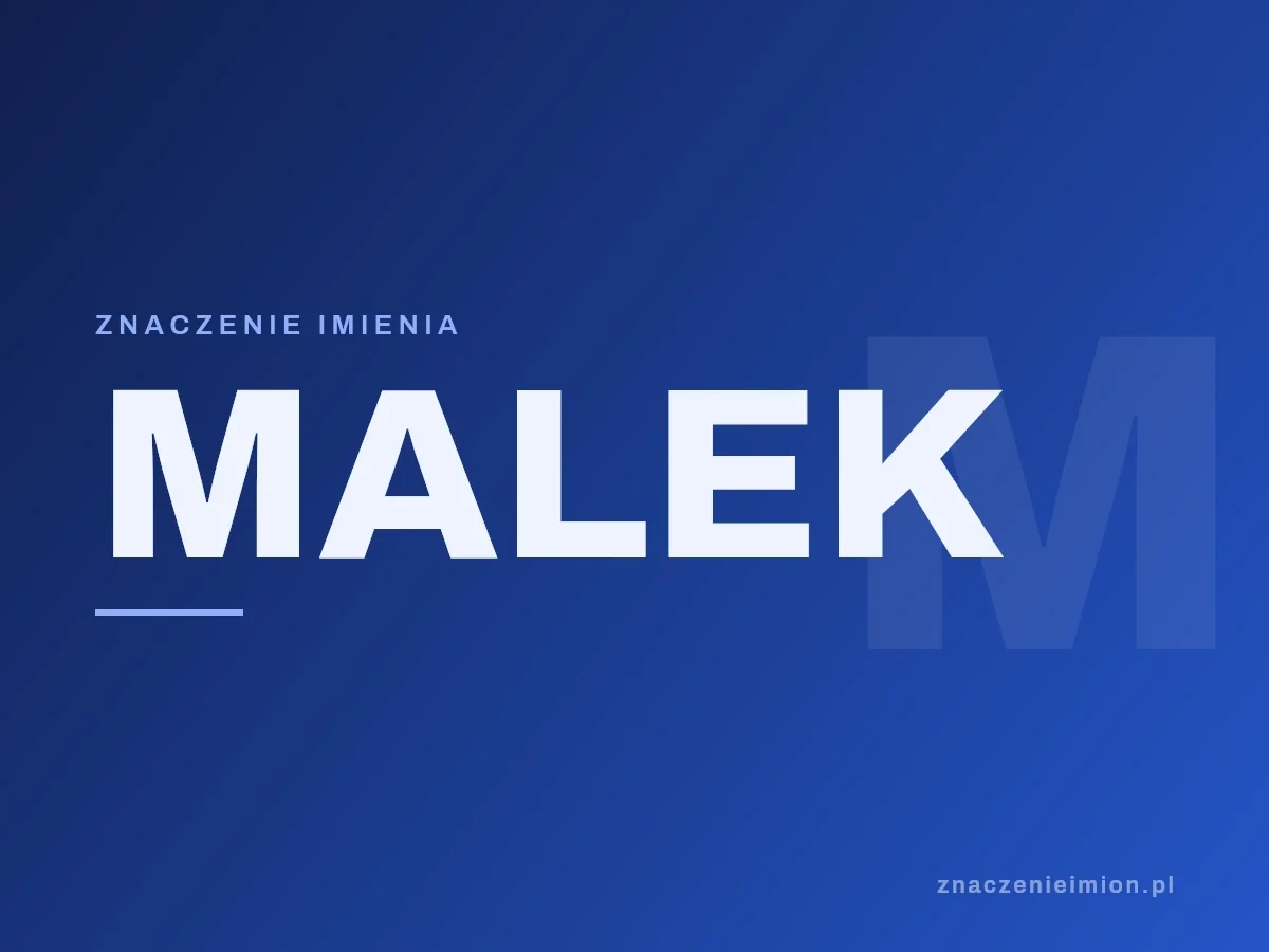 Imię Malek — grafika z serii znaczenie imion, znaczenieimion.pl.