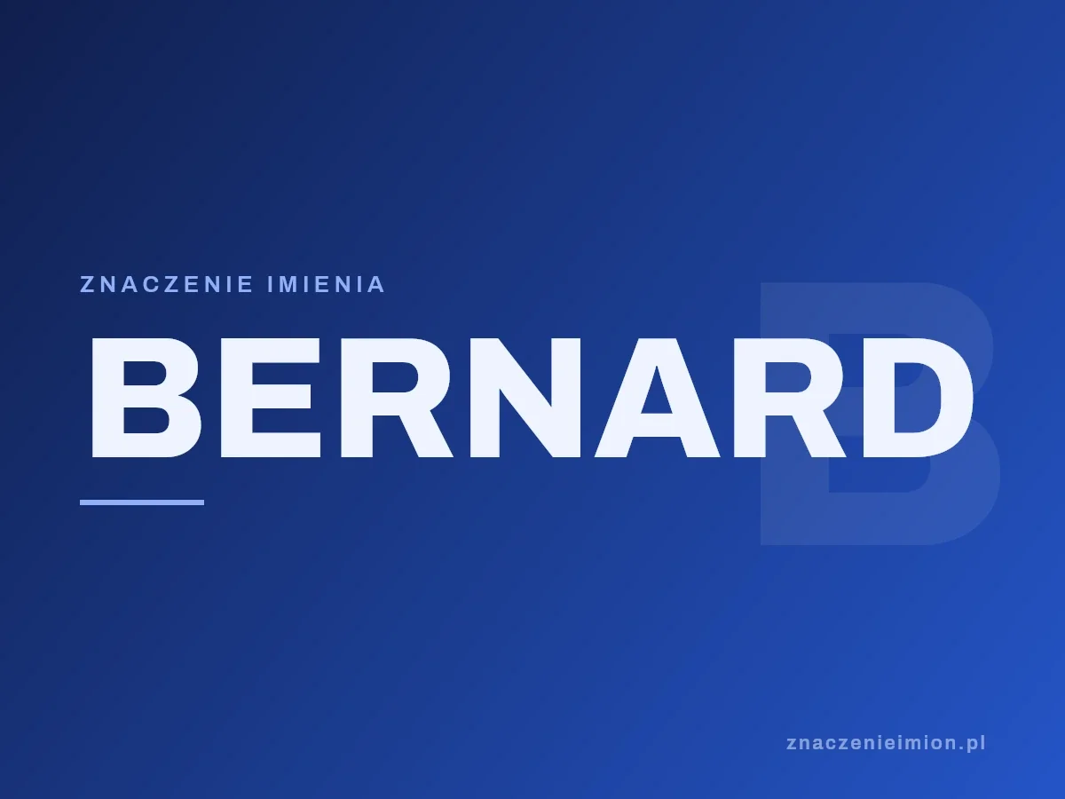 Imię Bernard — grafika z serii znaczenie imion, znaczenieimion.pl.