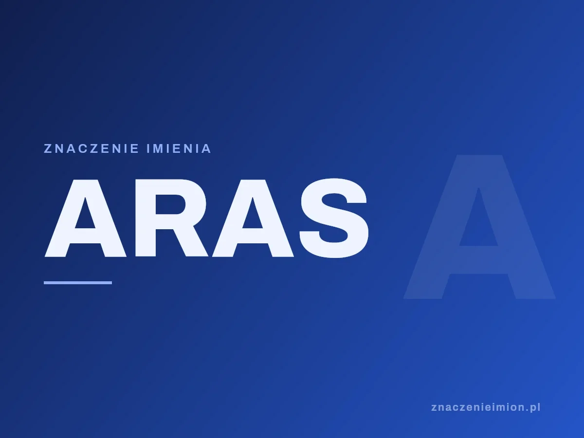 Imię Aras — grafika z serii znaczenie imion, znaczenieimion.pl.