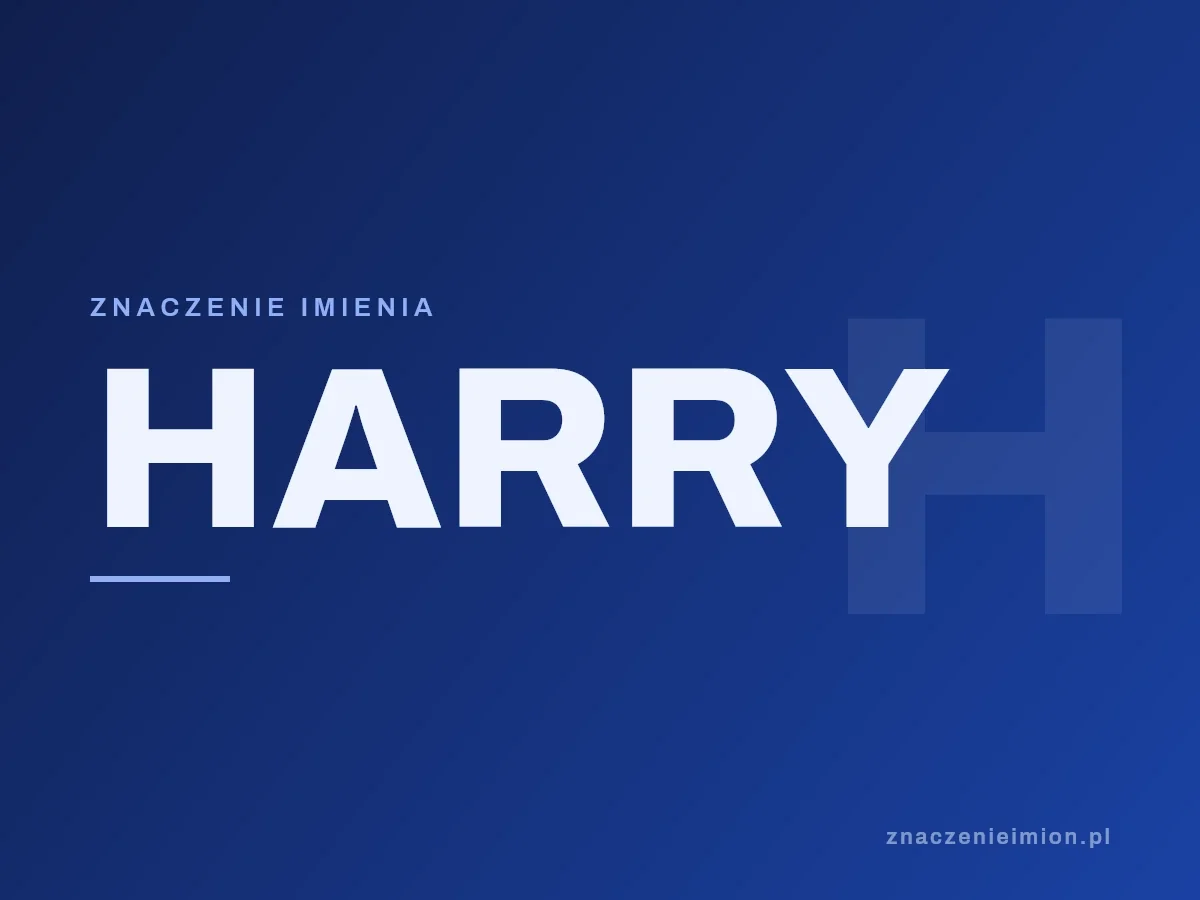 Imię Harry — grafika z serii znaczenie imion, znaczenieimion.pl.